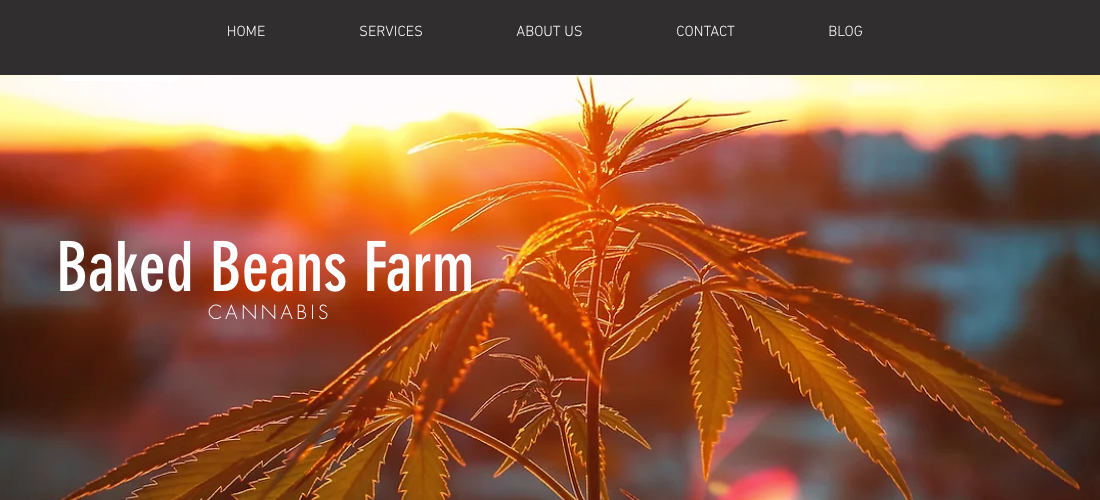 Baked Beans Farm LLC